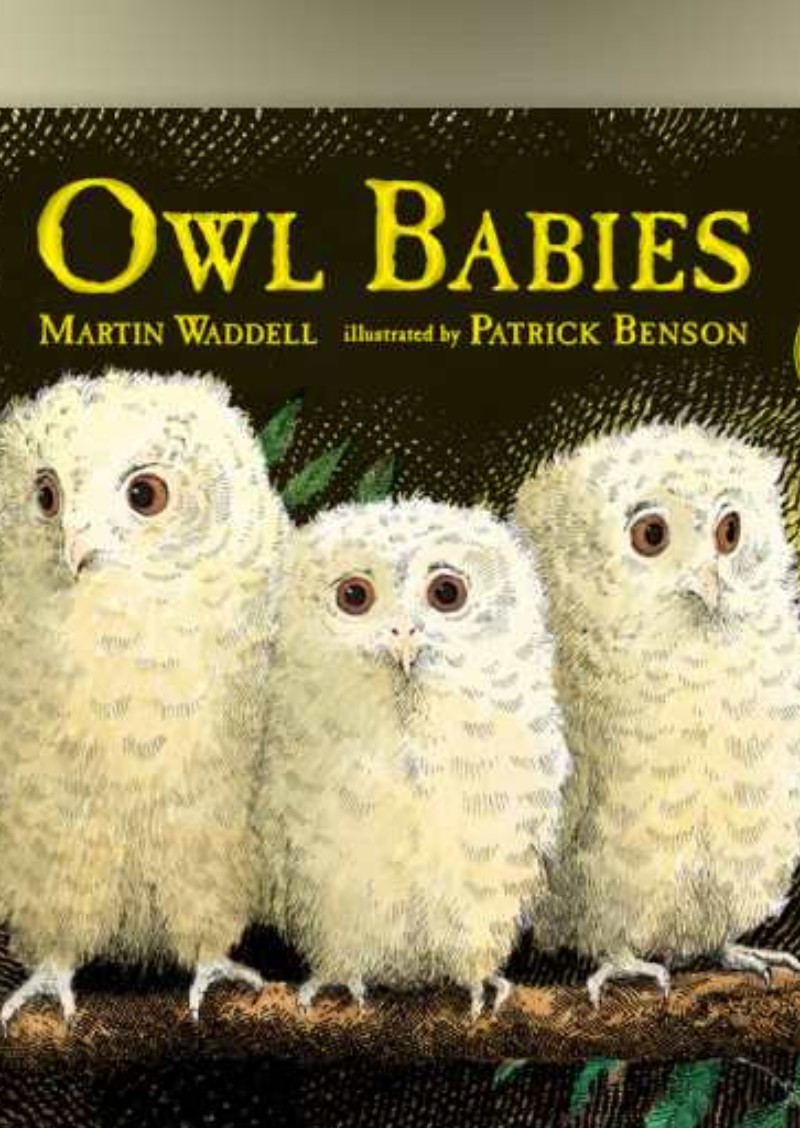 Owl Babies